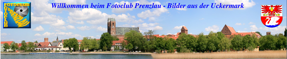 fotoclub prenzlau