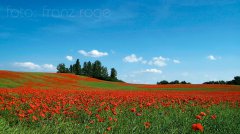 roge-landschaft-natur-227.jpg