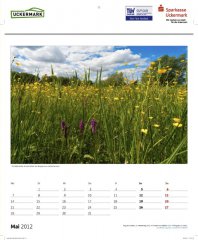 roge-kalender-090.JPG