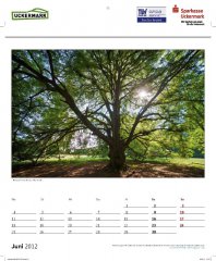 roge-kalender-091.JPG